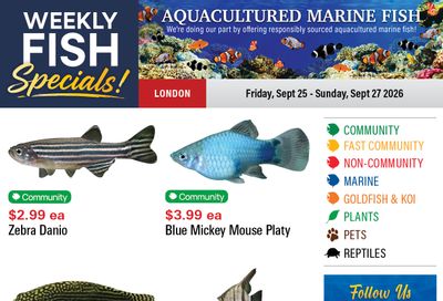 Big Al's (London) Weekend Specials September 25 to 27