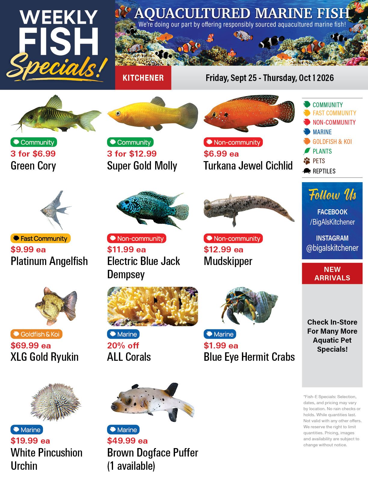 Big Al's (Kitchener) Weekly Specials September 25 to October 1