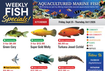 Big Al's (Kitchener) Weekly Specials September 25 to October 1