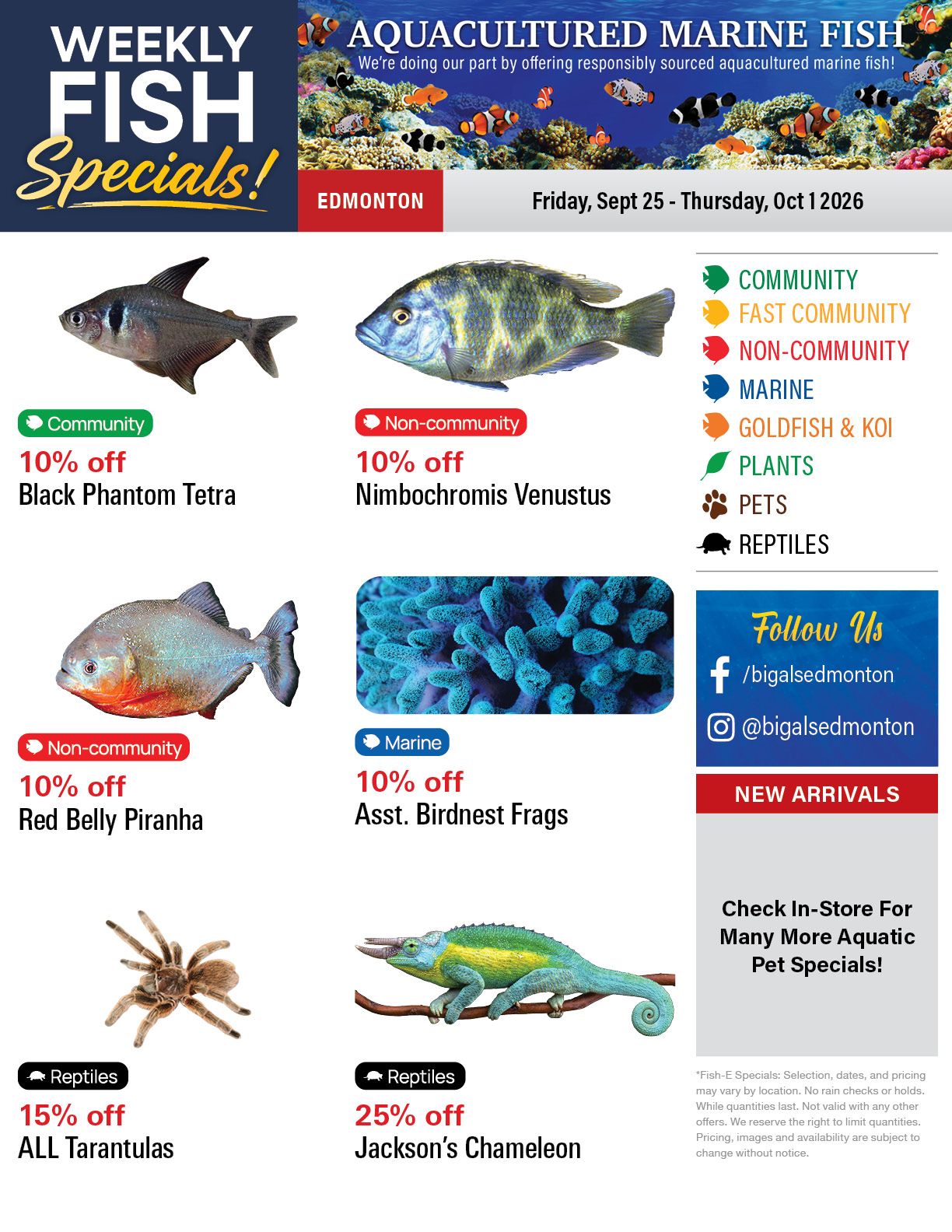 Big Al's (Edmonton) Weekly Specials September 25 to October 1