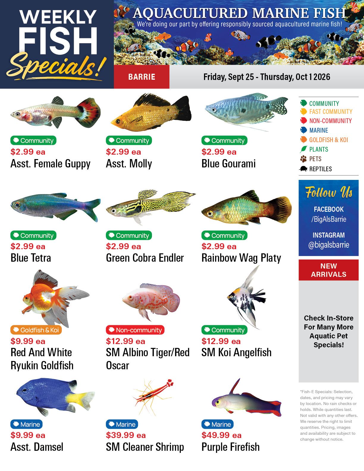 Big Al's (Barrie) Weekly Specials September 25 to October 1