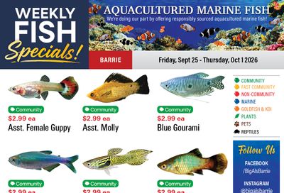 Big Al's (Barrie) Weekly Specials September 25 to October 1