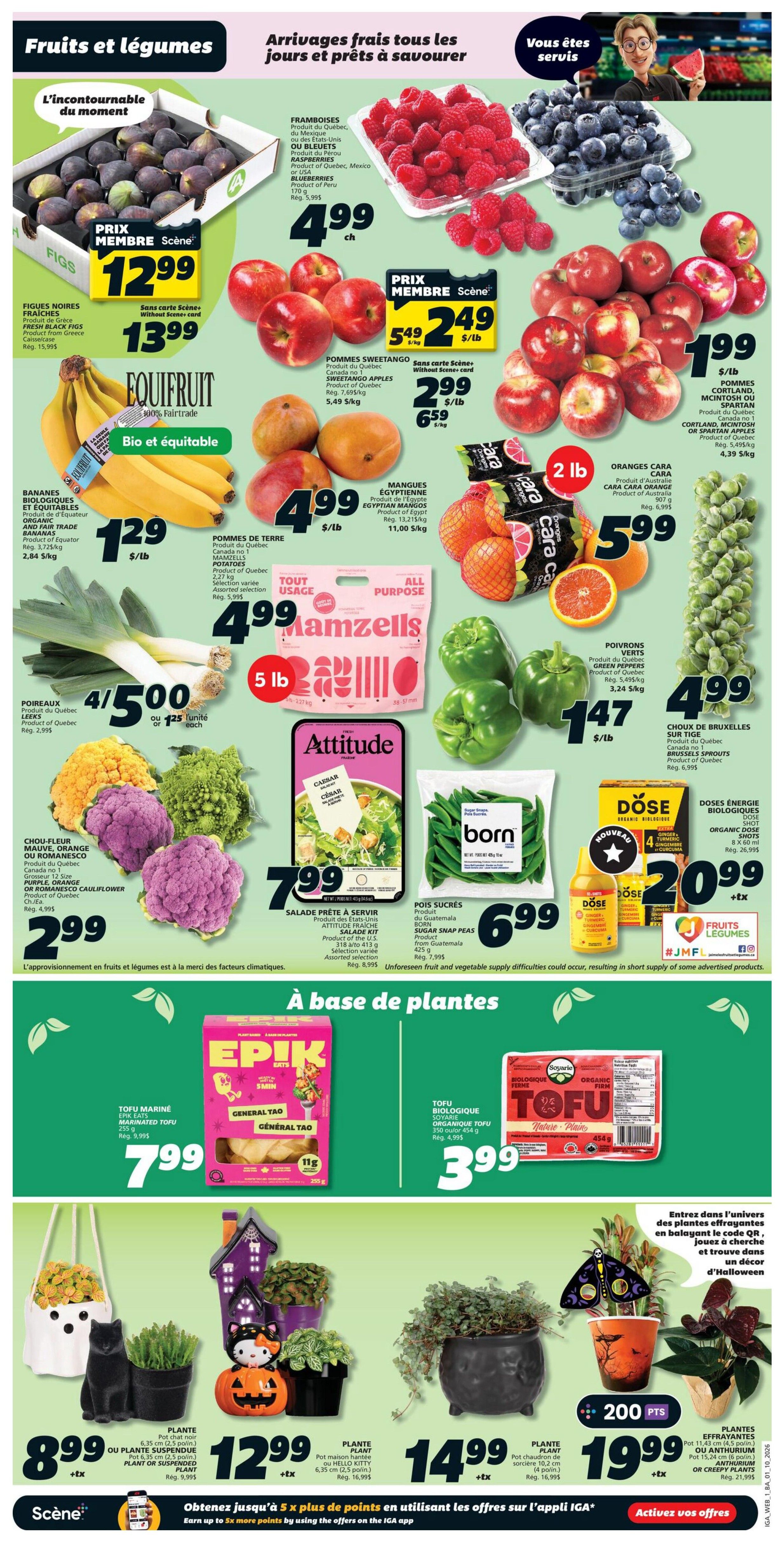 IGA (NB) Flyer October 1 to 7