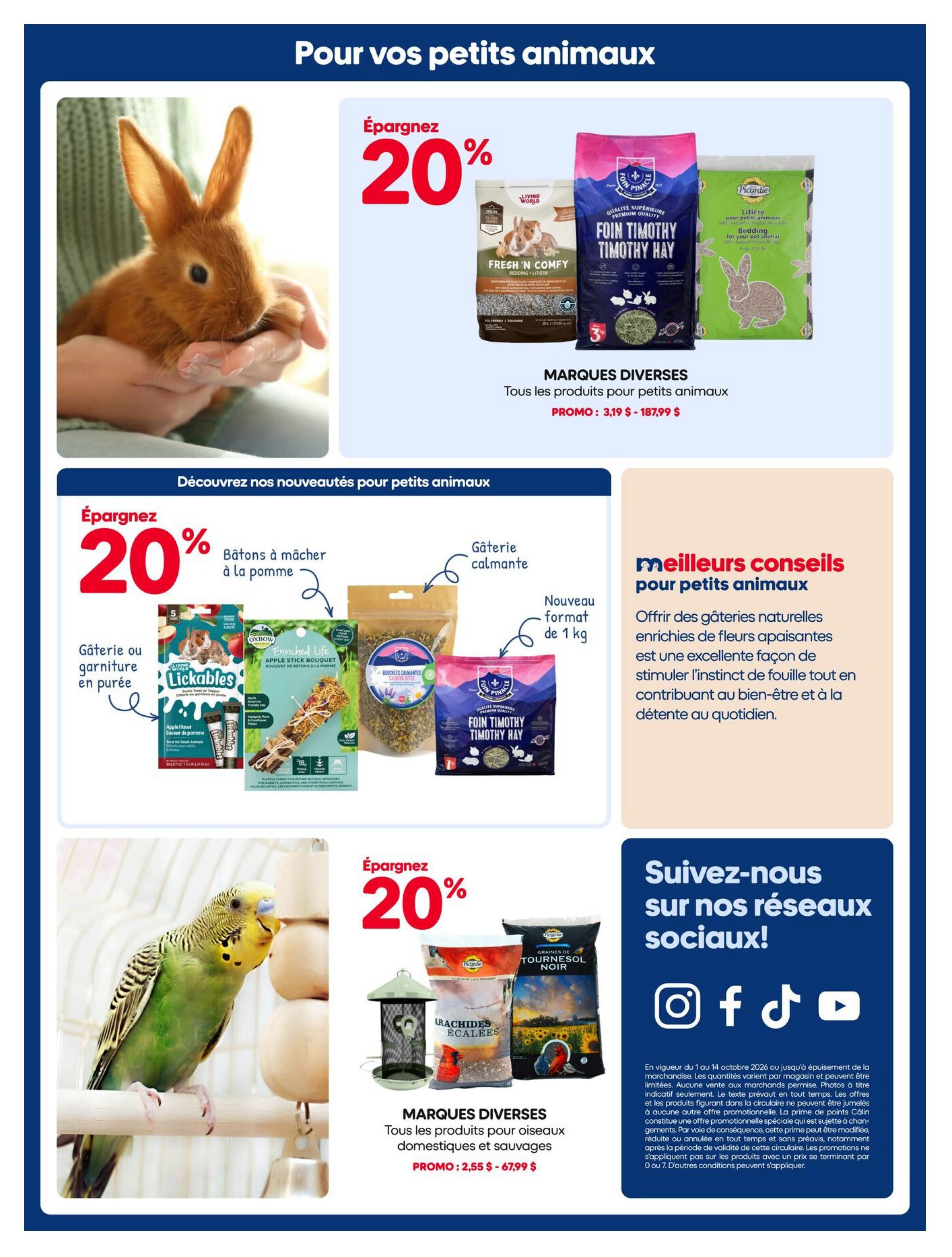 Mondou Flyer October 1 to 14