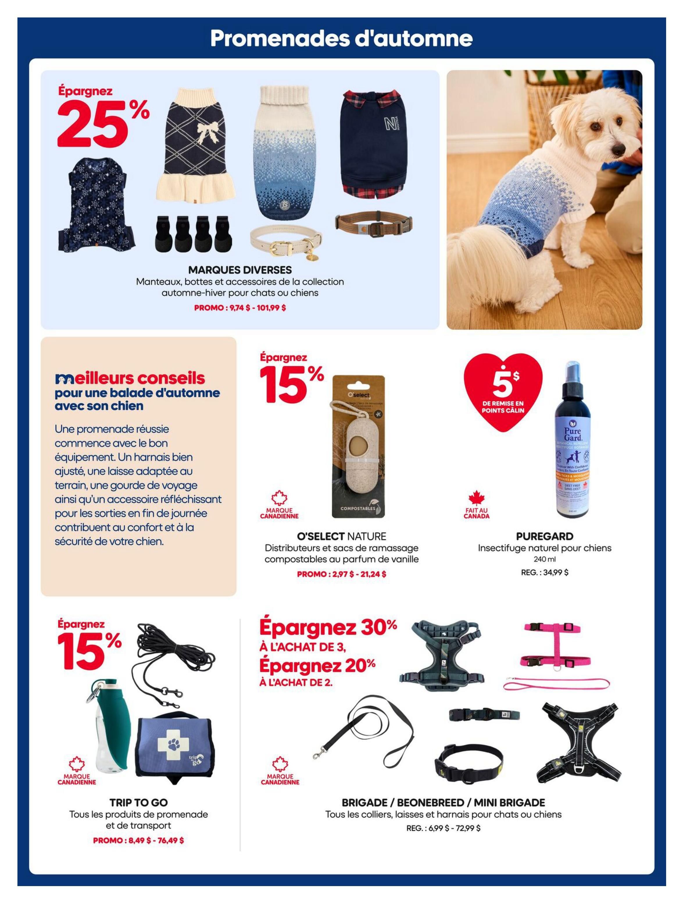 Mondou Flyer October 1 to 14
