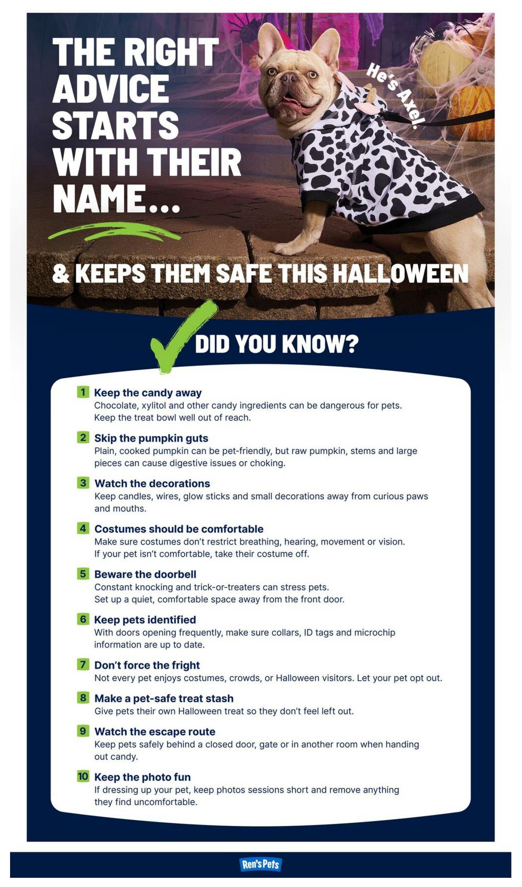 Ren's Pets Monthly Flyer October 1 to 31