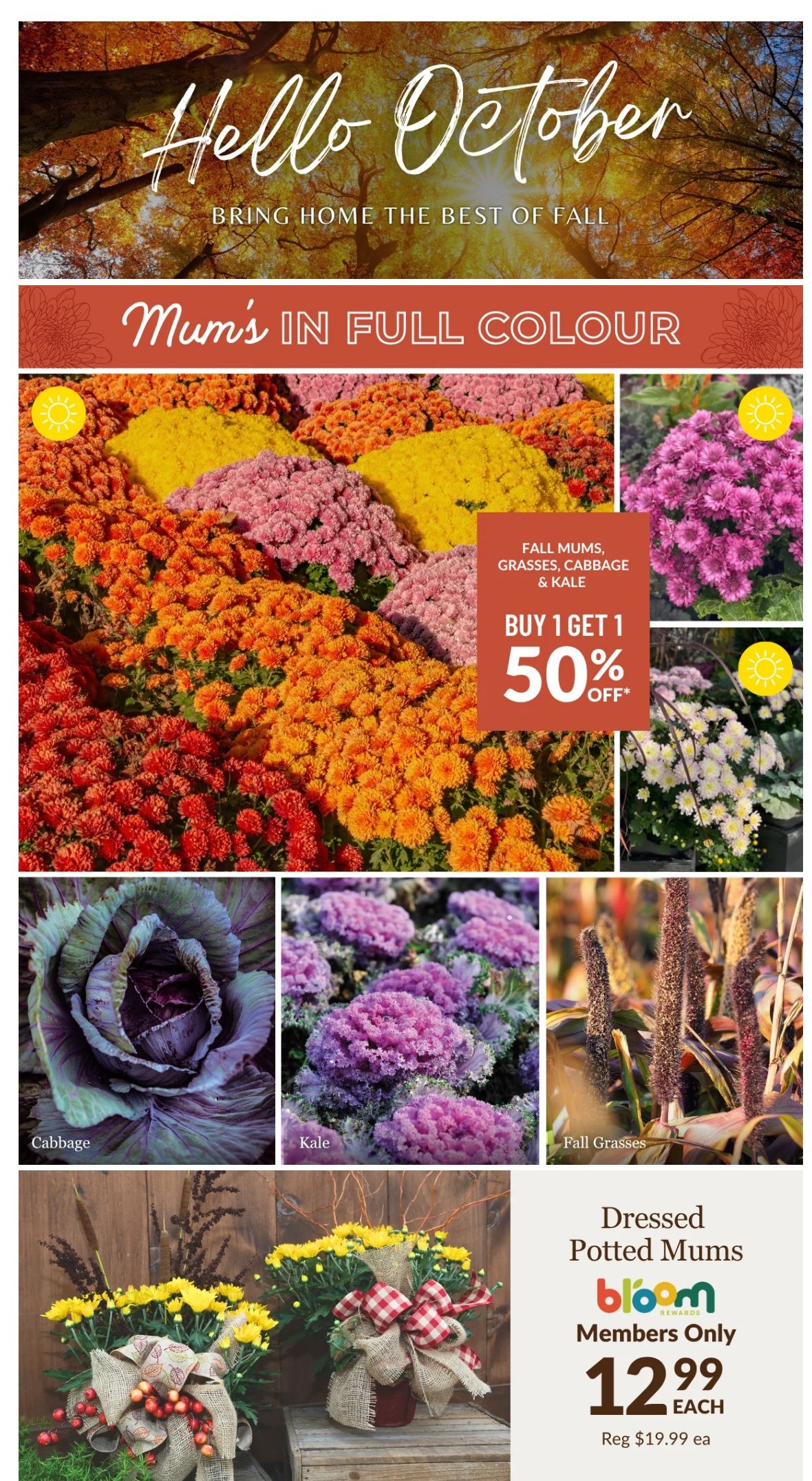 Lakeside Garden Gallery Flyer October 2 to 8
