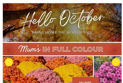 Lakeside Garden Gallery Flyer October 2 to 8