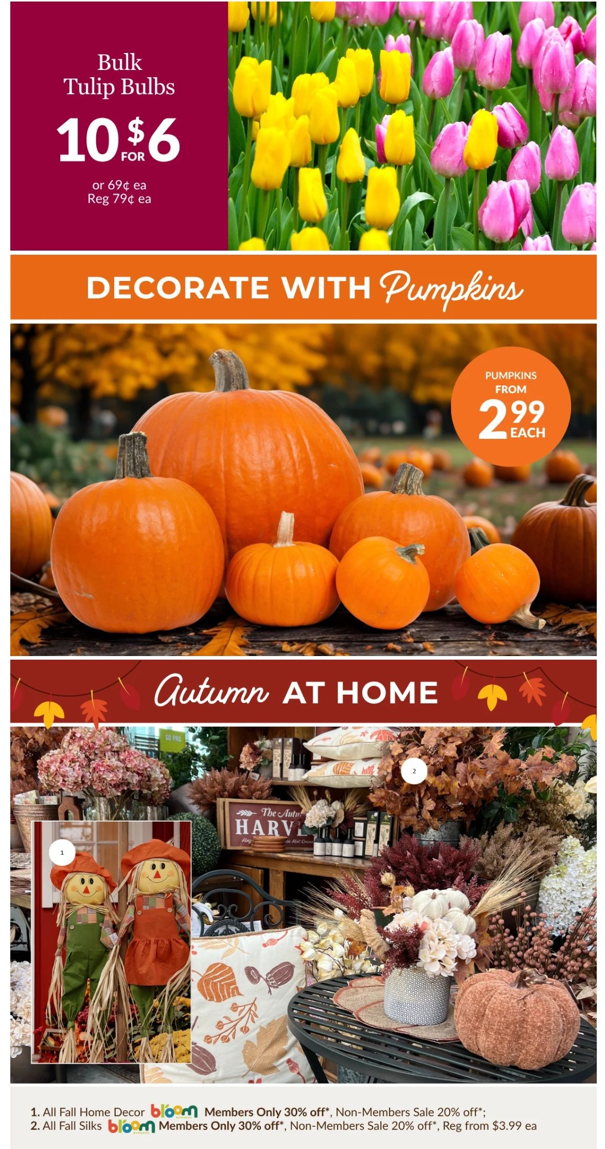 Lakeside Garden Gallery Flyer October 2 to 8