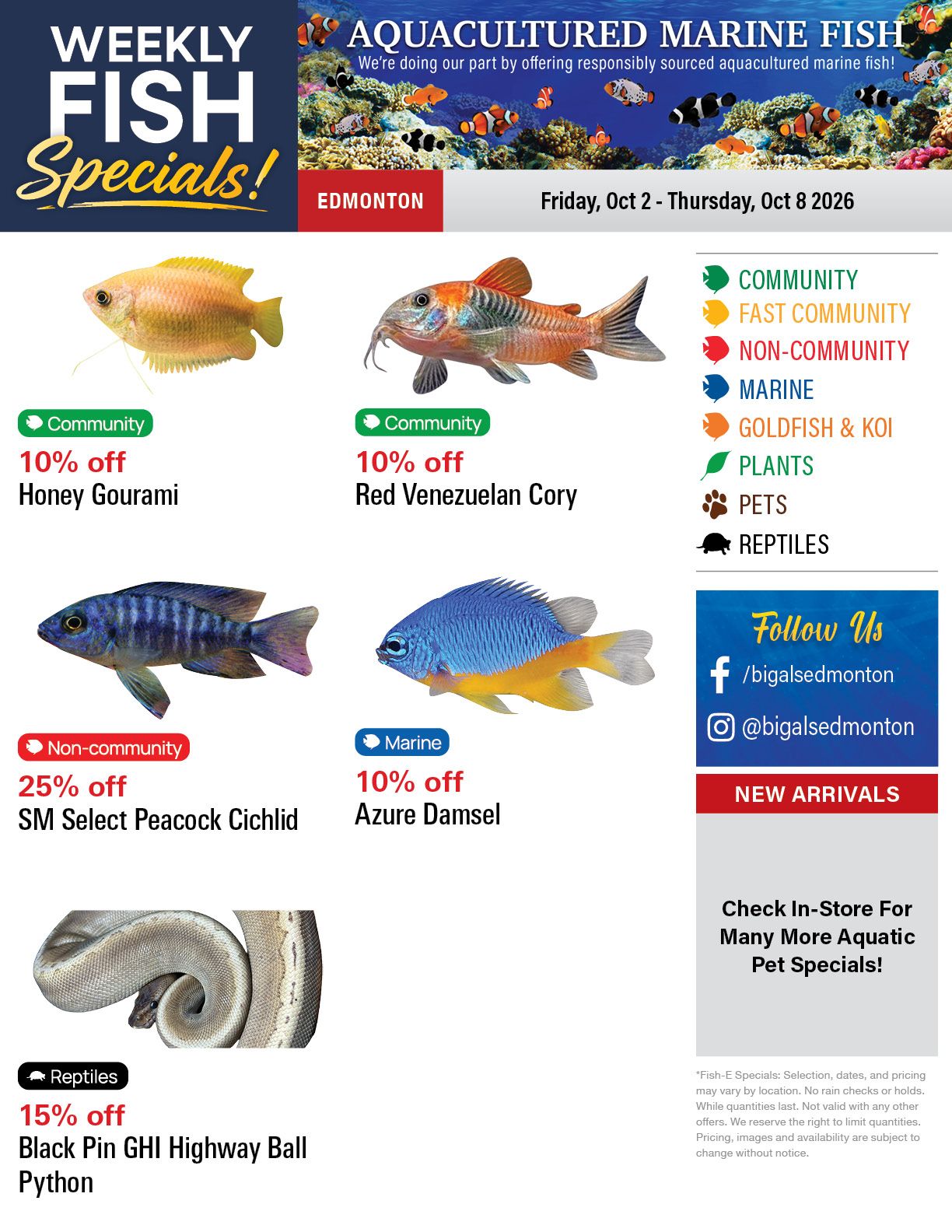 Big Al's (Edmonton) Weekly Specials October 2 to 8