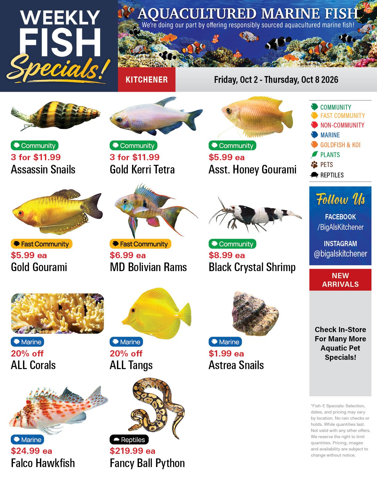 Big Al's (Kitchener) Weekly Specials October 2 to 8