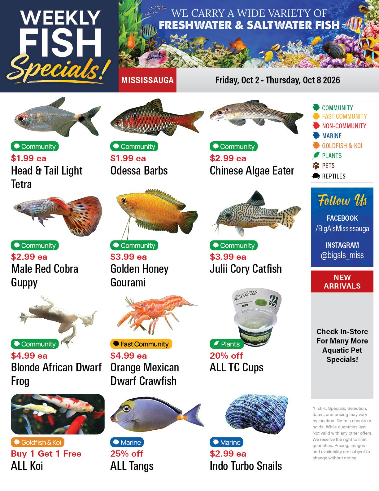 Big Al's (Mississauga) Weekly Specials October 2 to 8