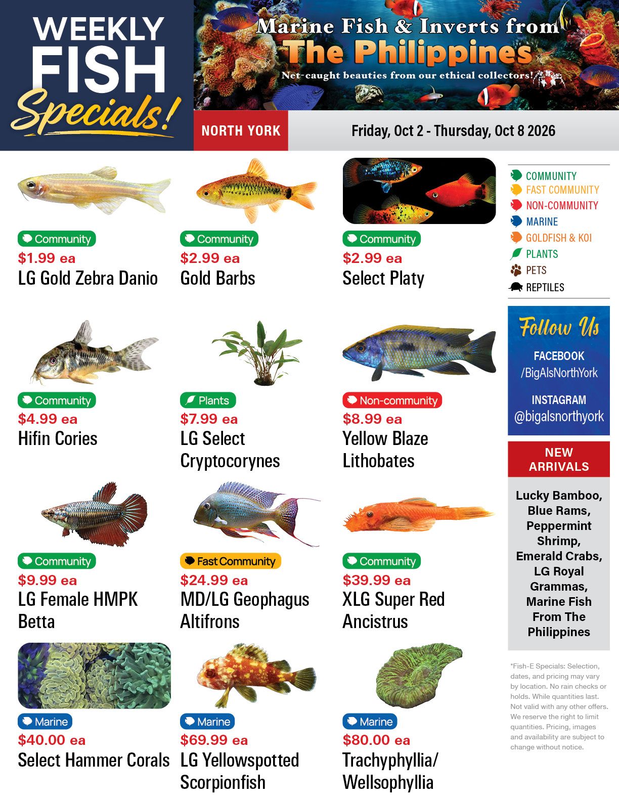Big Al's (North York) Weekly Specials October 2 to 8