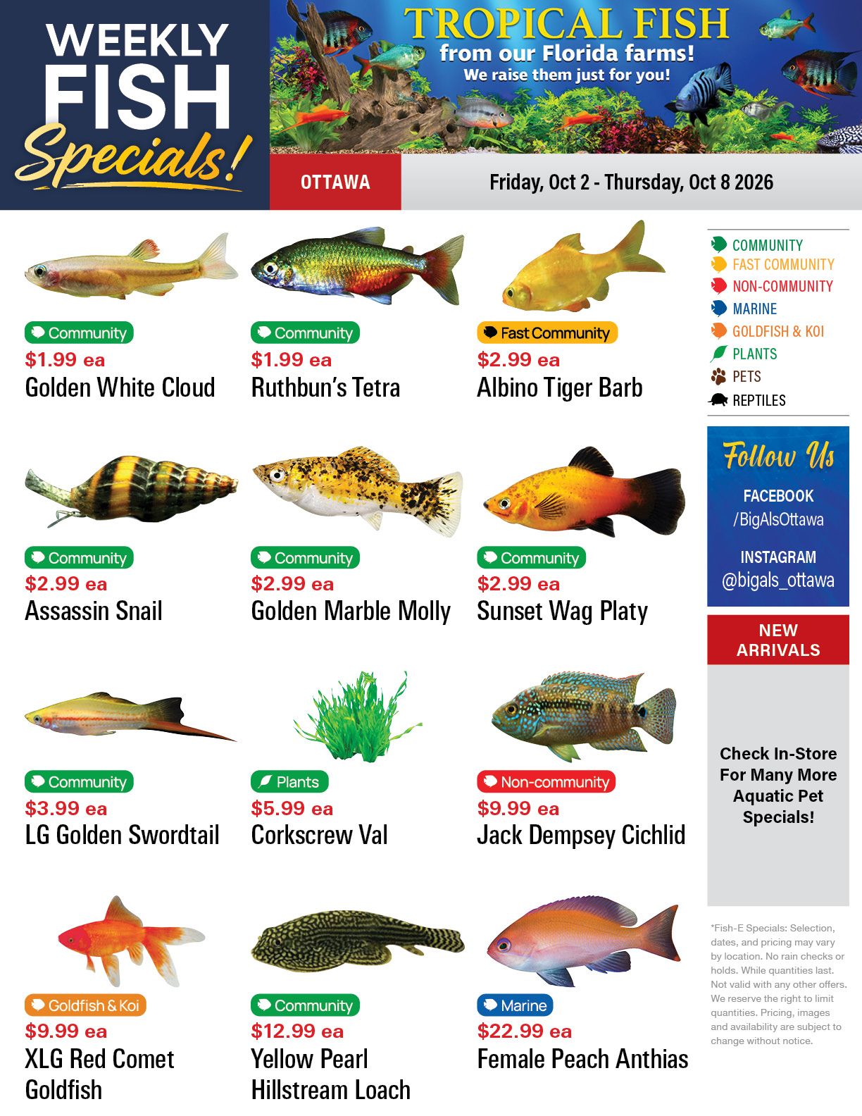 Big Al's (Ottawa) Weekly Specials October 2 to 8