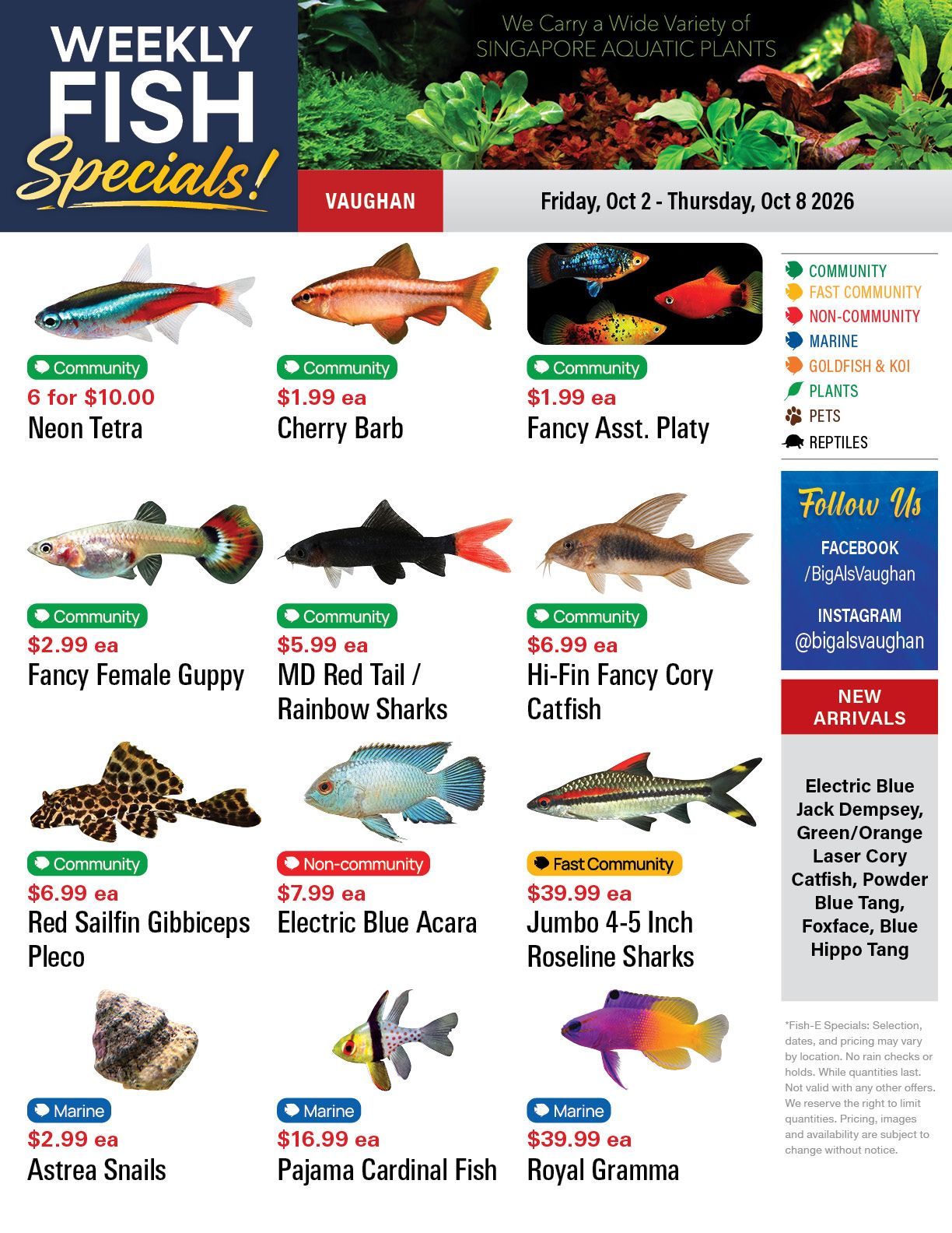 Big Al's (Vaughan) Weekly Specials October 2 to 8