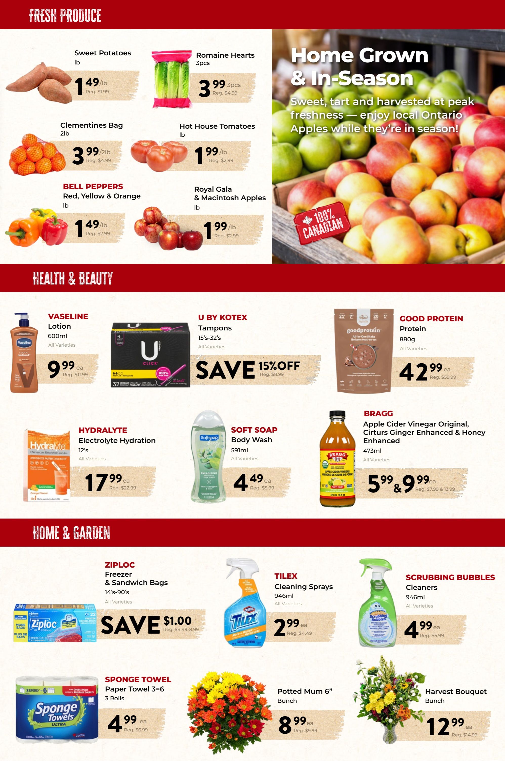 Marche Leo's Flyer October 2 to 11