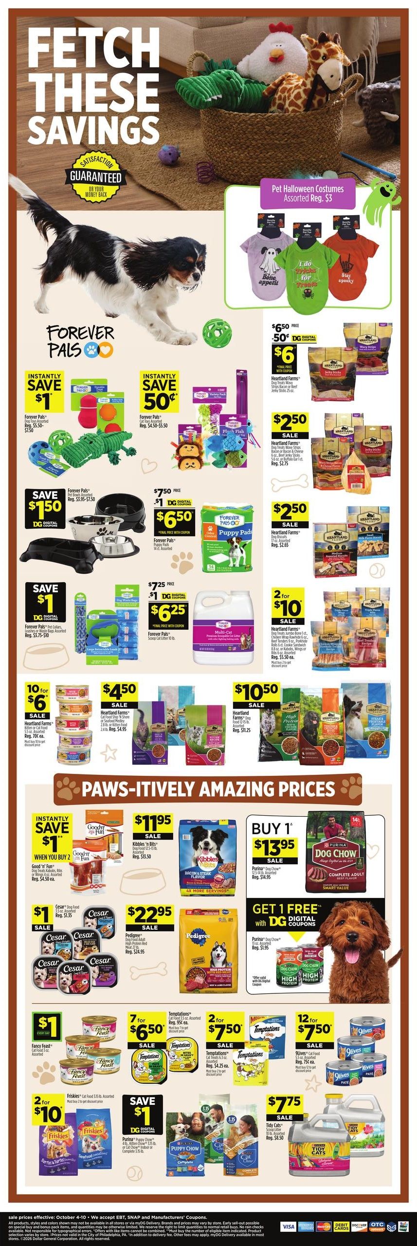 Dollar General (Basile-New Orleans Area, LA) Weekly Ad October 4 - 10, 2026