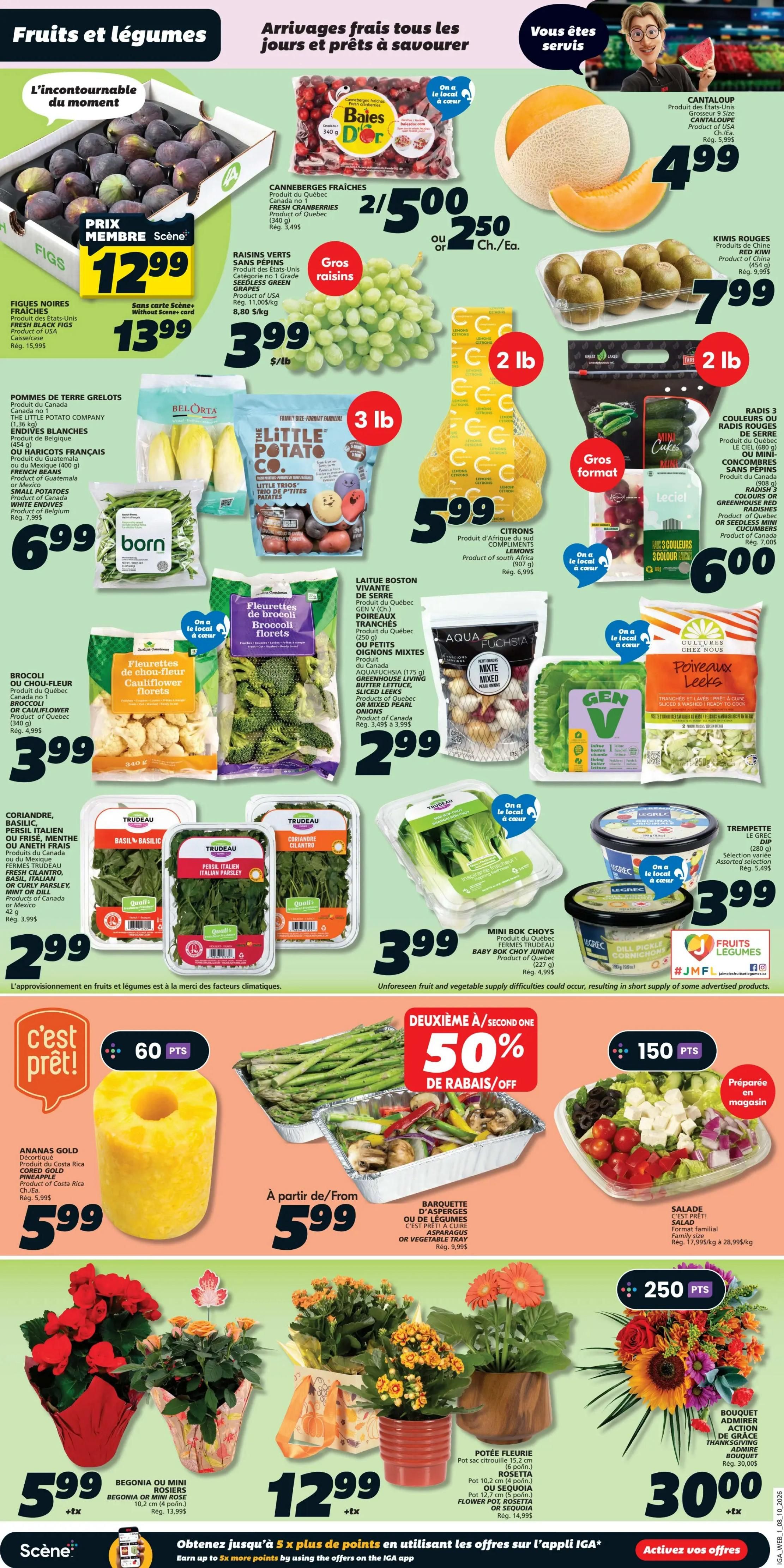 IGA (QC) Flyer October 8 to 14