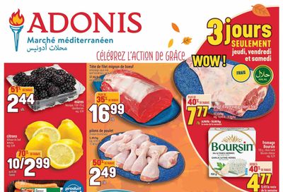 Adonis (QC) Flyer October 8 to 14