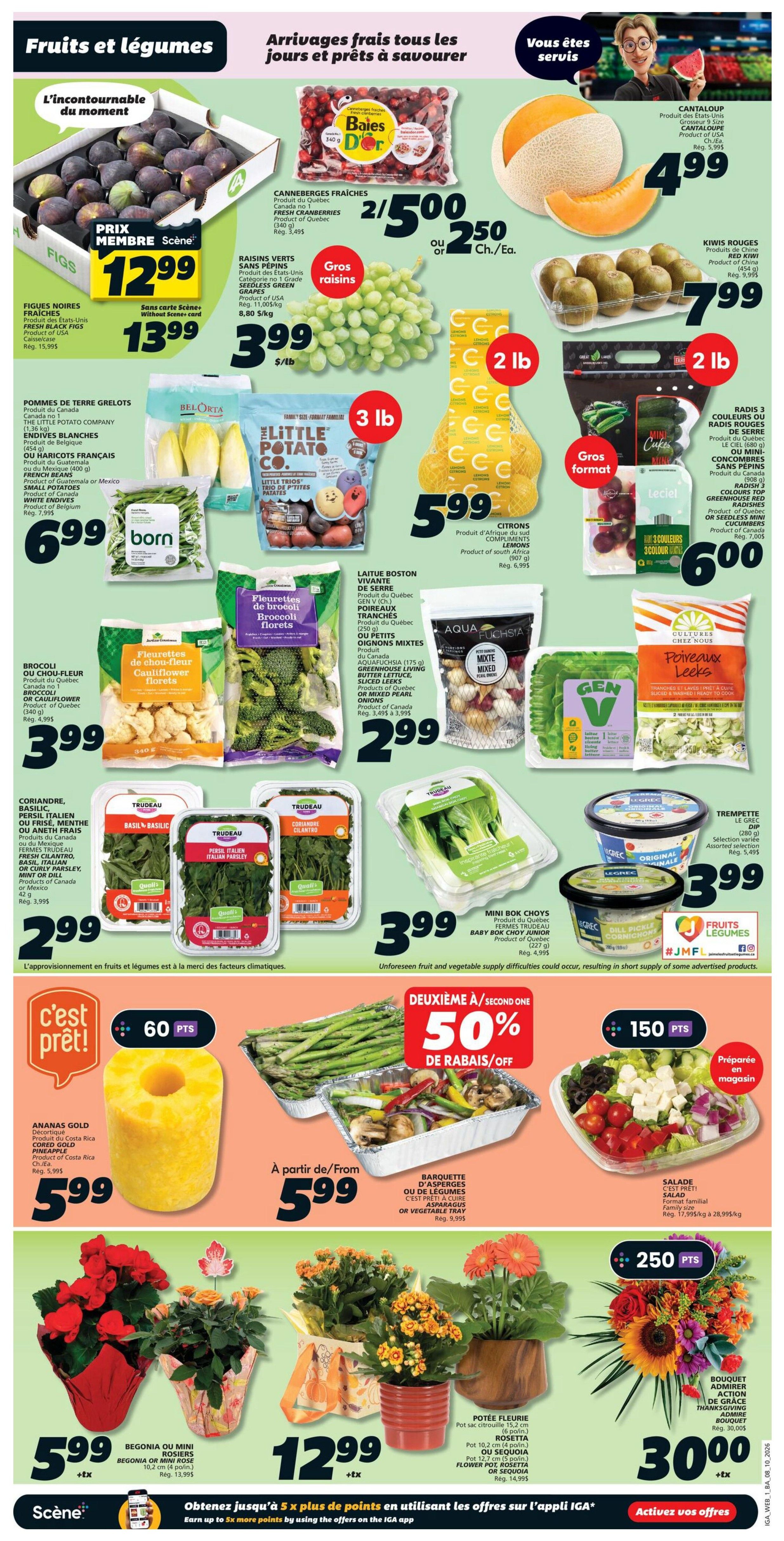 IGA (NB) Flyer October 8 to 14