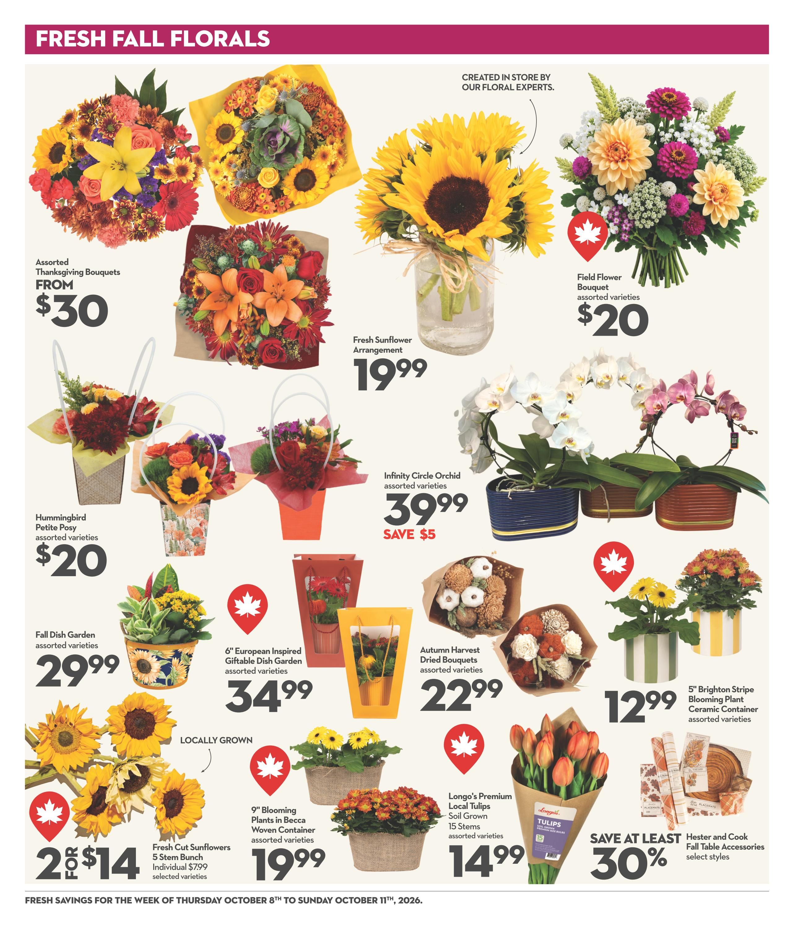 Garden Foods Flyer October 8 to 11