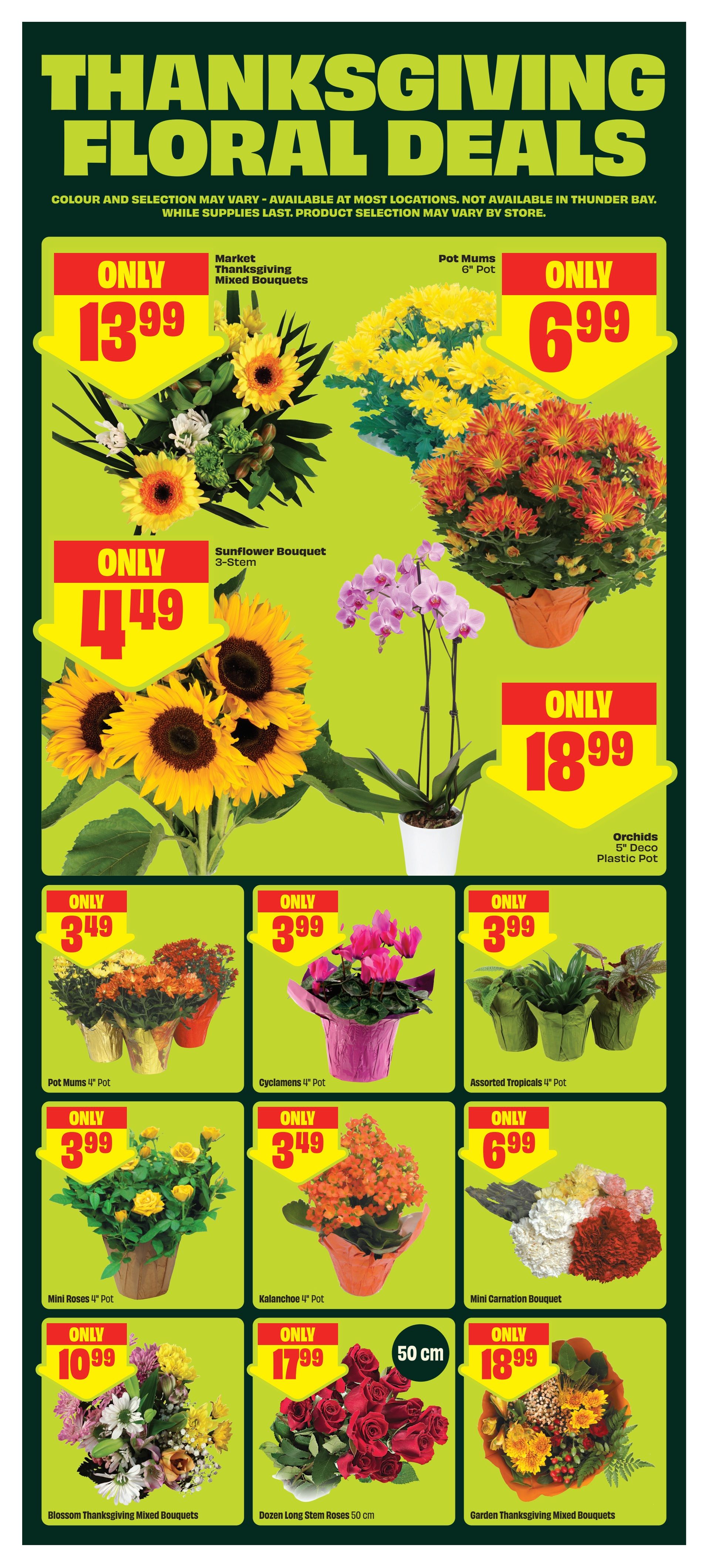 FreshCo (West) Flyer October 8 to 14