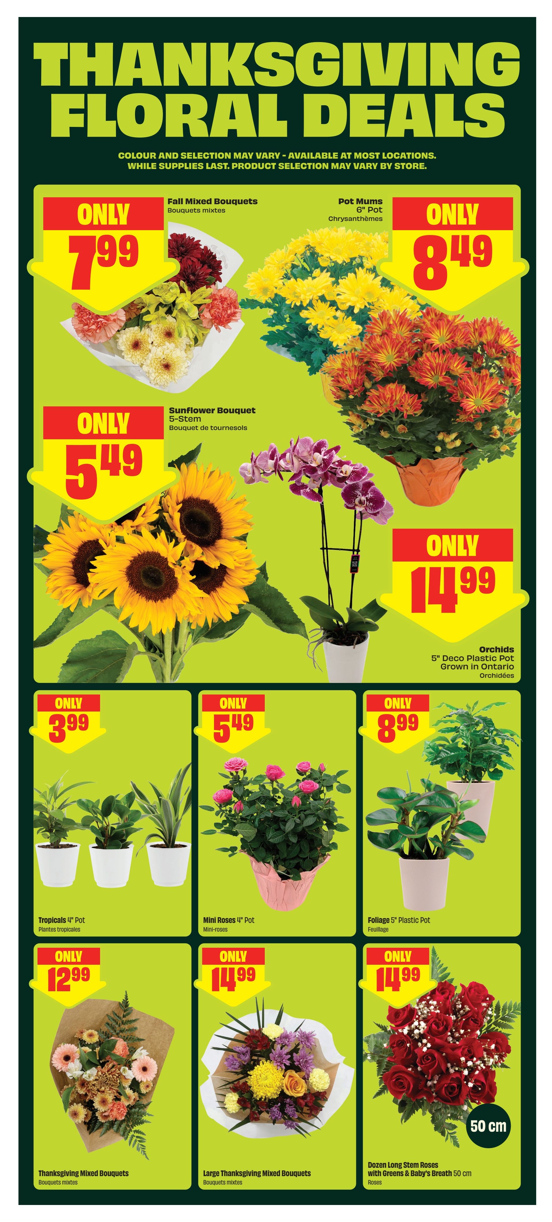 FreshCo (ON) Flyer October 8 to 14