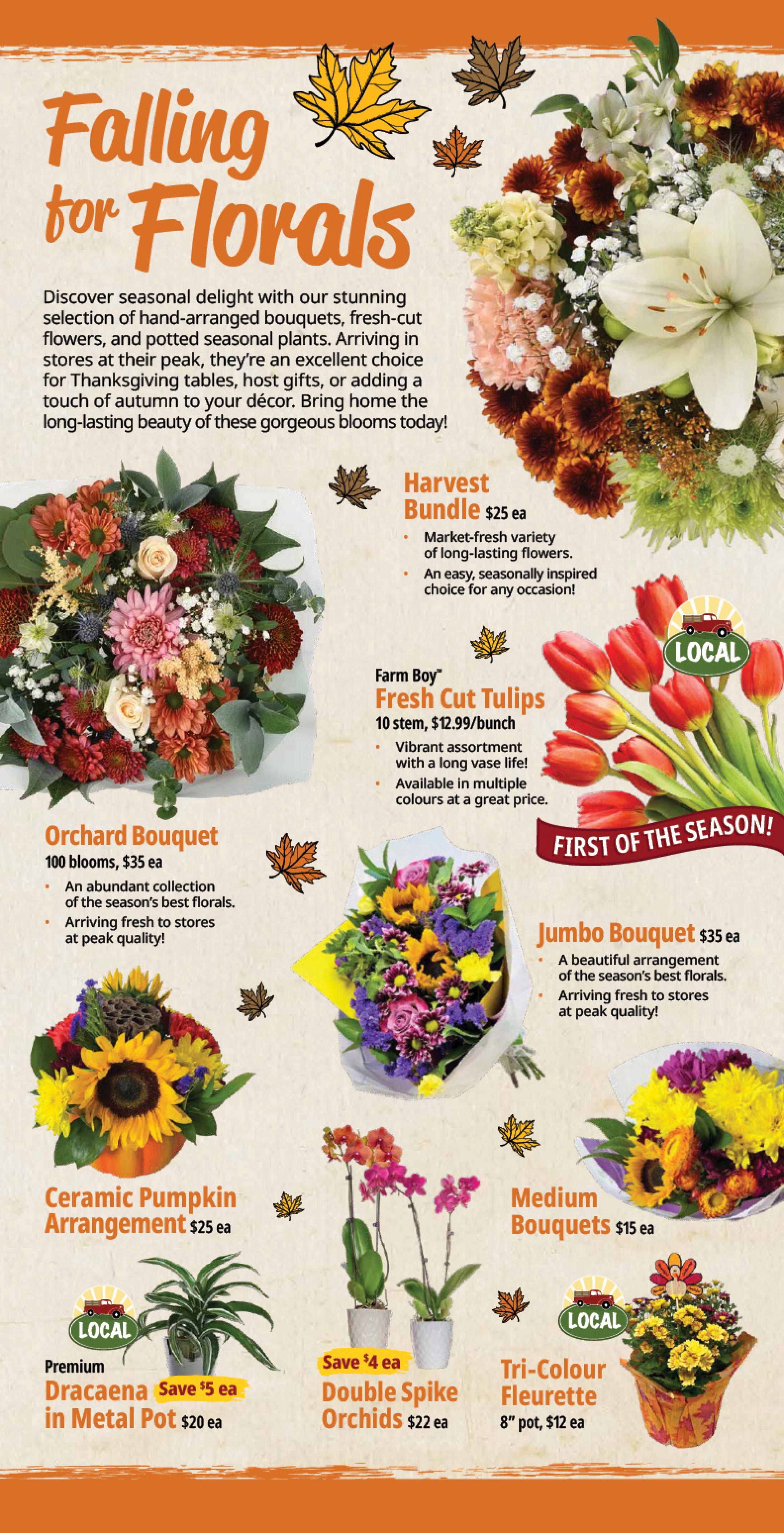 Farm Boy Flyer October 8 to 14