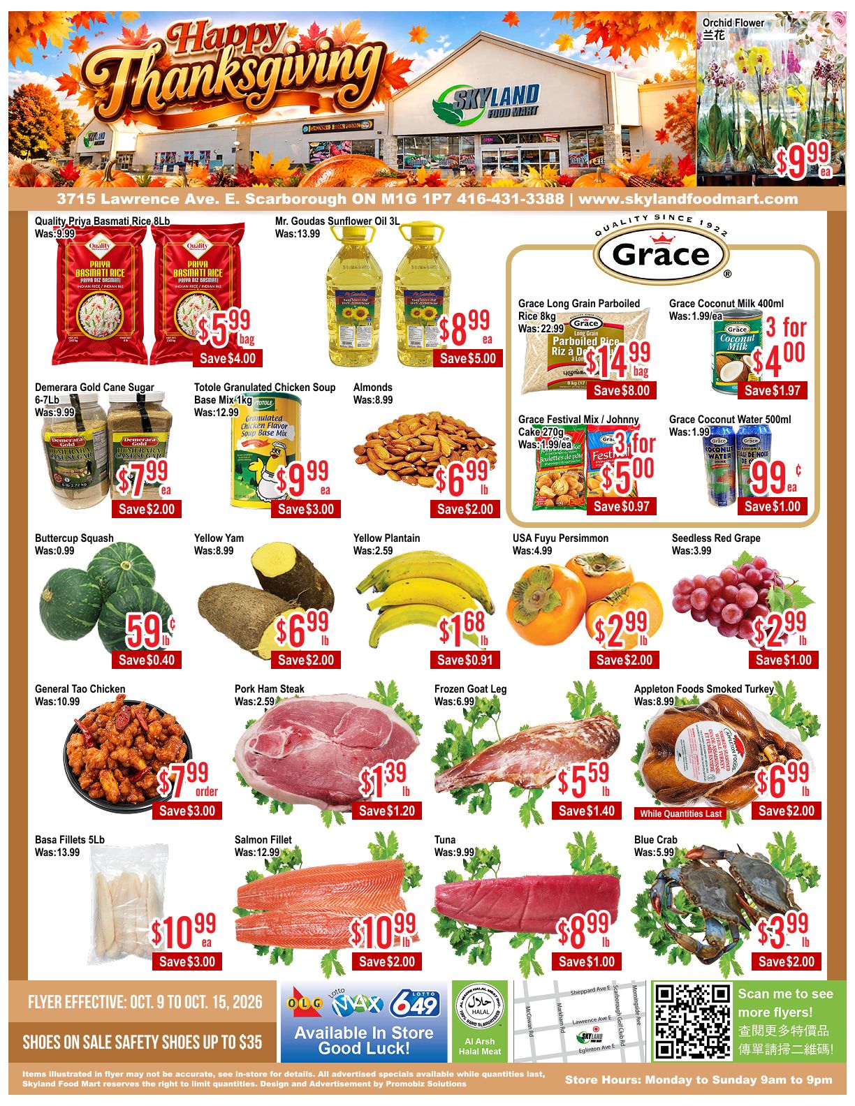 Skyland Food Mart Flyer October 9 to 15