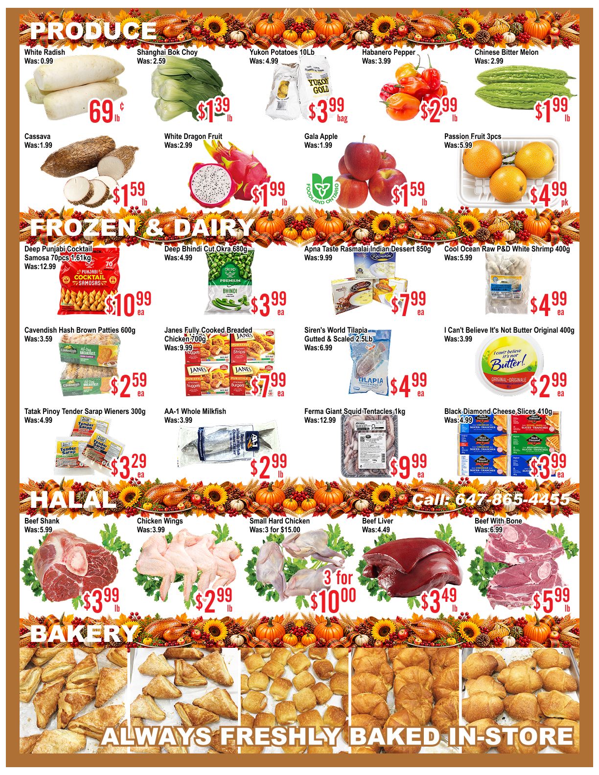 Skyland Food Mart Flyer October 9 to 15
