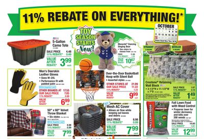 Menards (Grand Rapids-Saint Joseph Area, MI) 11% Rebate Sale Weekly Ad October 8 - 18, 2026