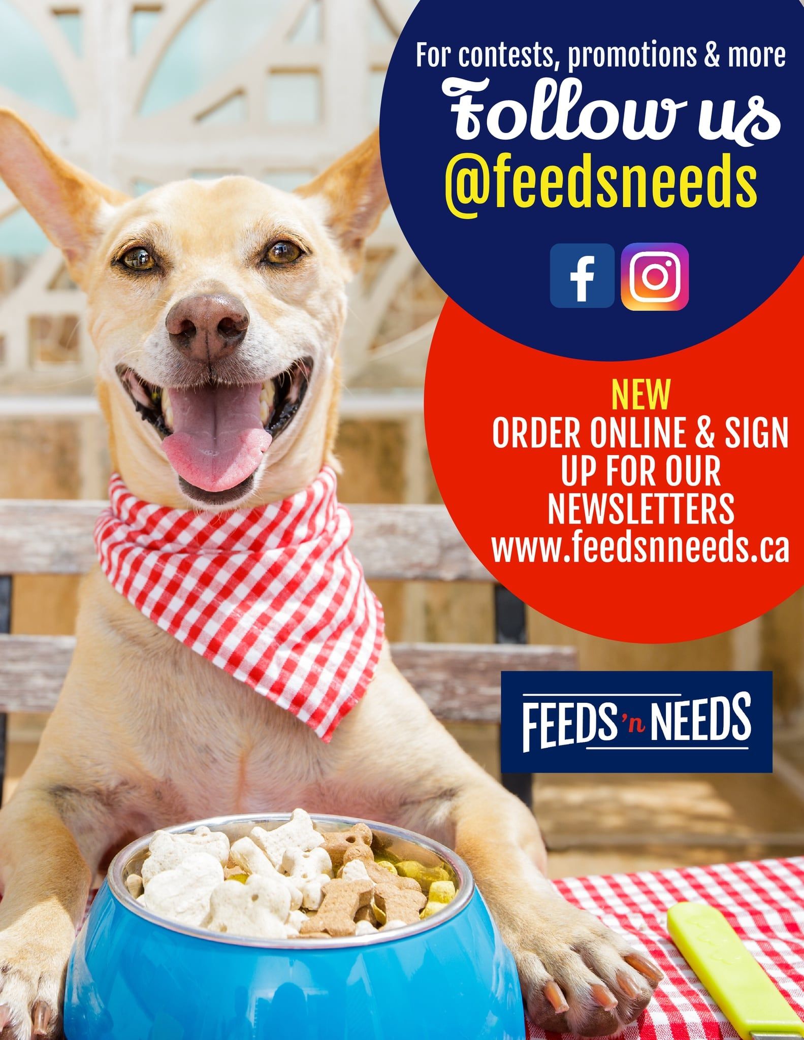 ShurGain Feeds'n Needs Flyer July 16 to 22