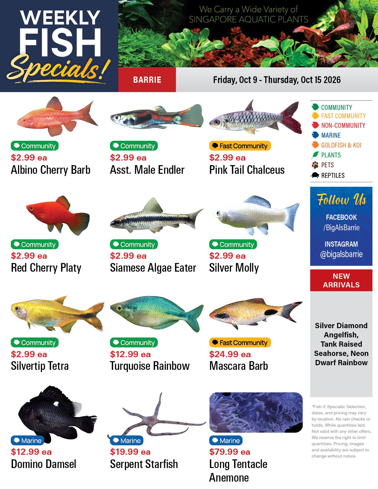 Big Al's (Barrie) Weekly Specials October 9 to 15