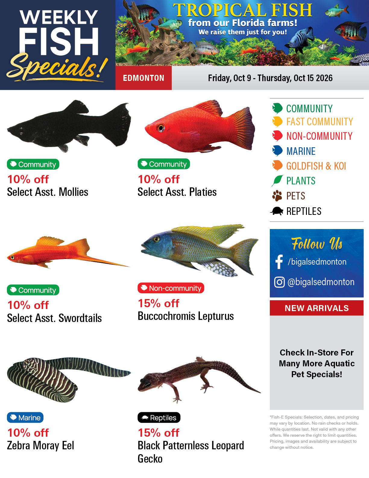 Big Al's (Edmonton) Weekly Specials October 9 to 15