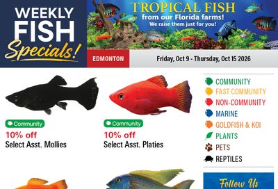 Big Al's (Edmonton) Weekly Specials October 9 to 15