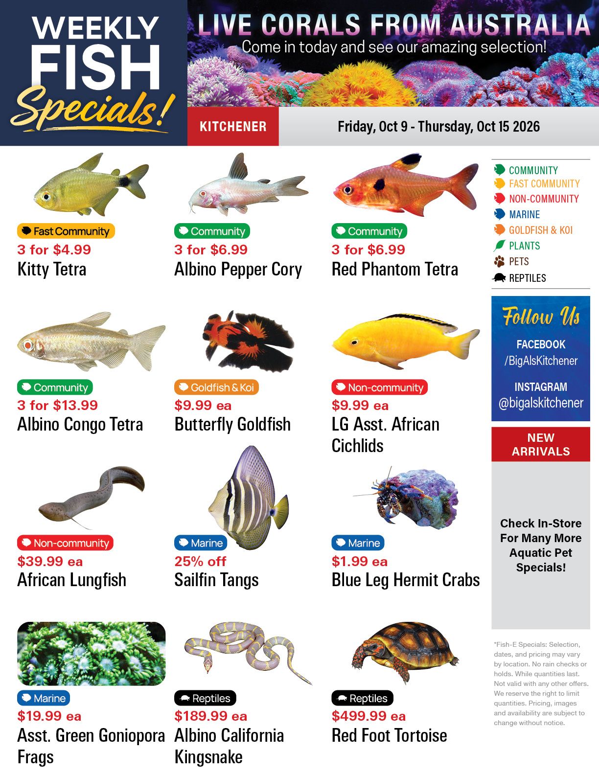 Big Al's (Kitchener) Weekly Specials October 9 to 15