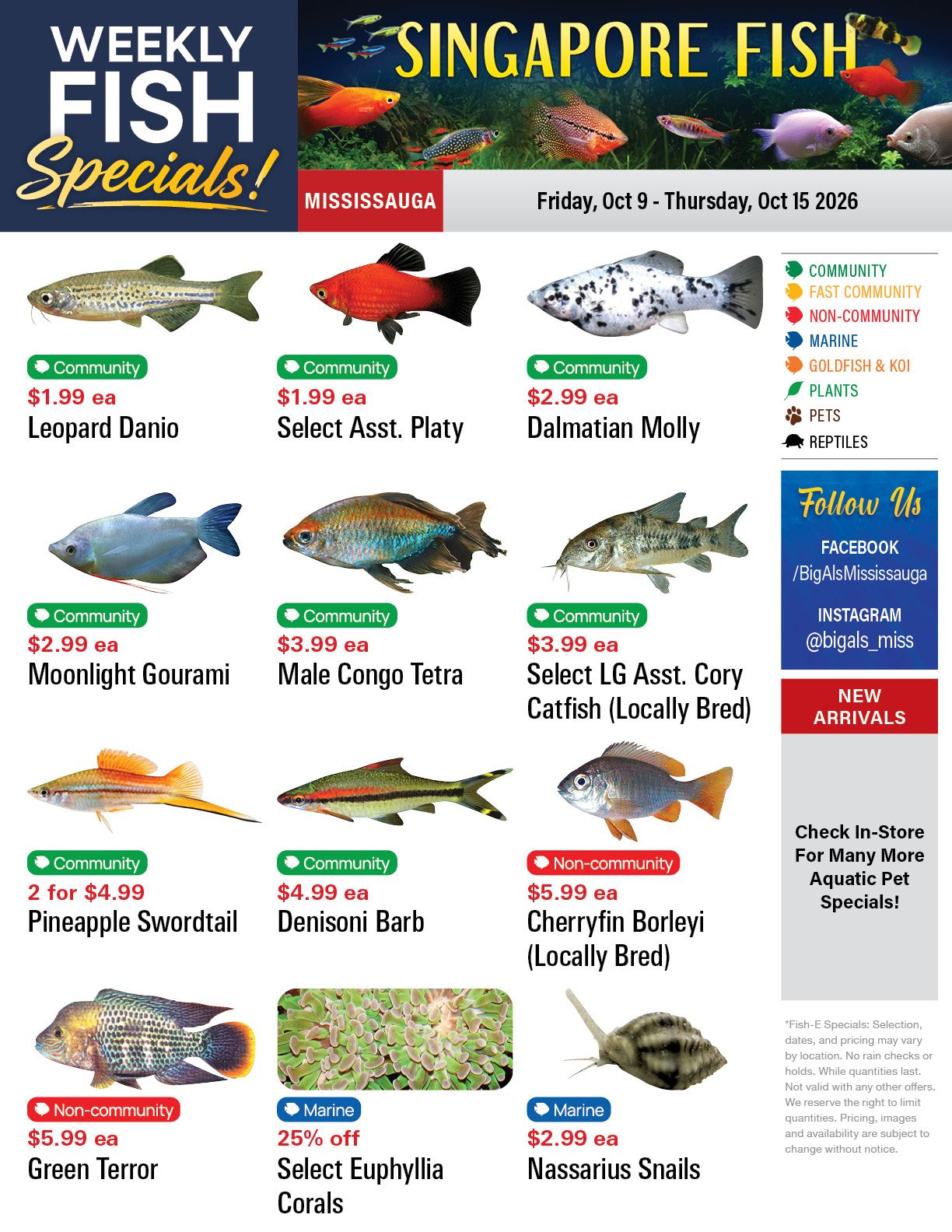 Big Al's (Mississauga) Weekly Specials October 9 to 15
