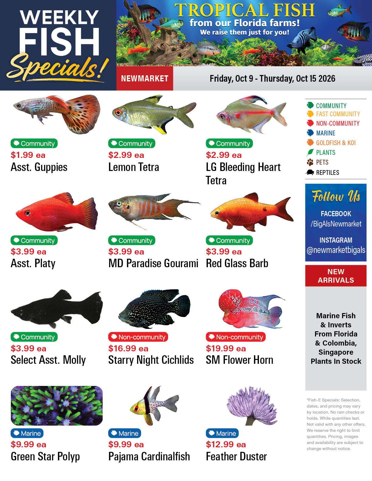 Big Al's (Newmarket) Weekly Specials October 9 to 15