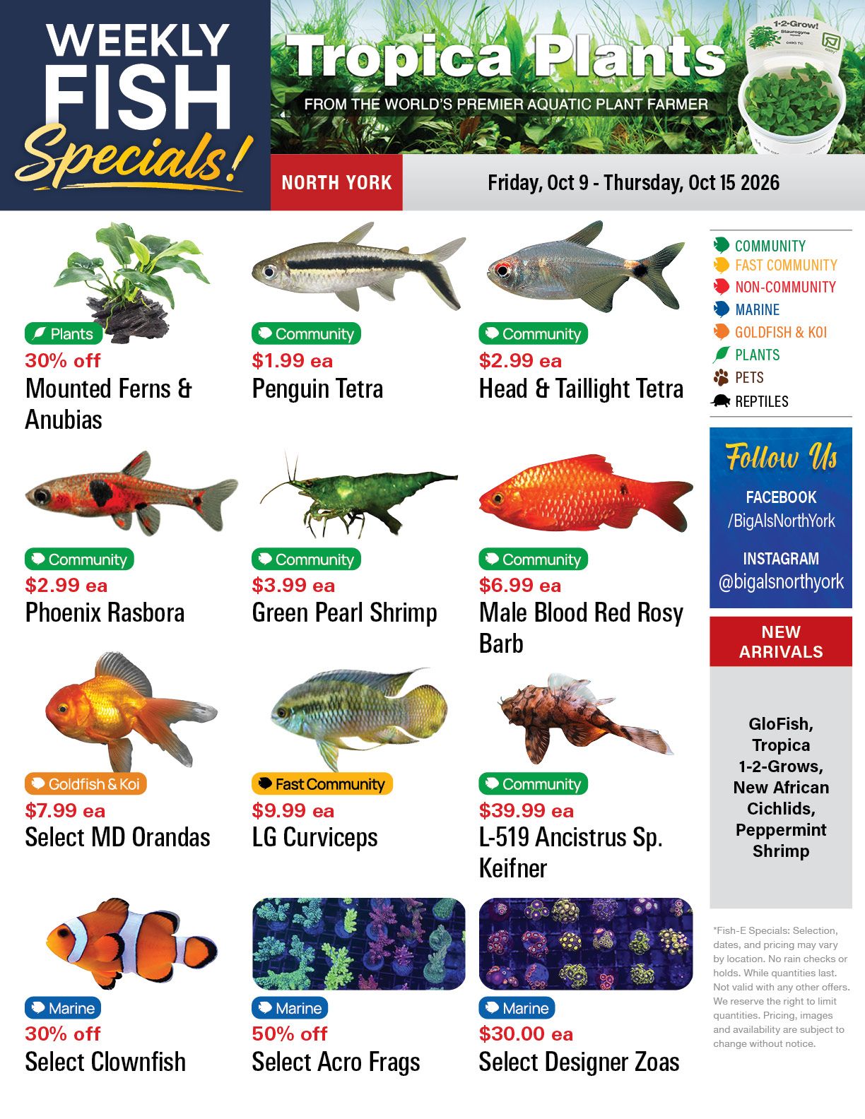 Big Al's (North York) Weekly Specials October 9 to 15
