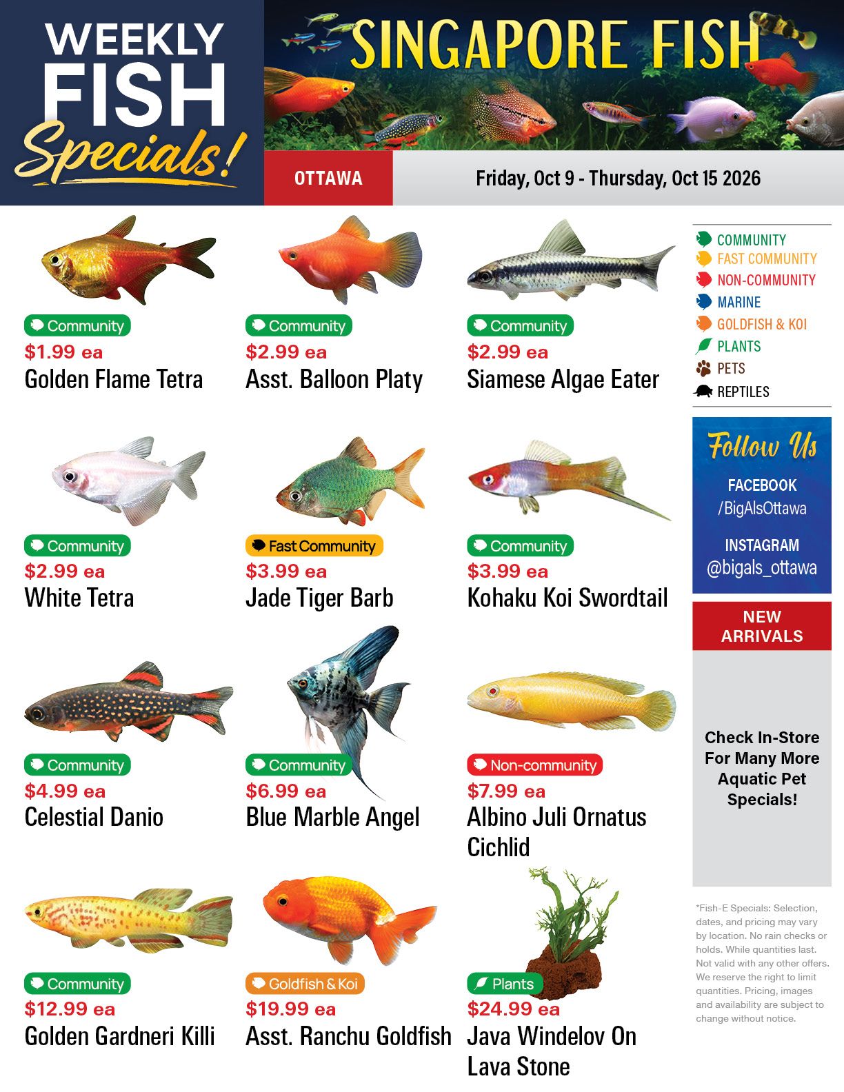 Big Al's (Ottawa) Weekly Specials October 9 to 15