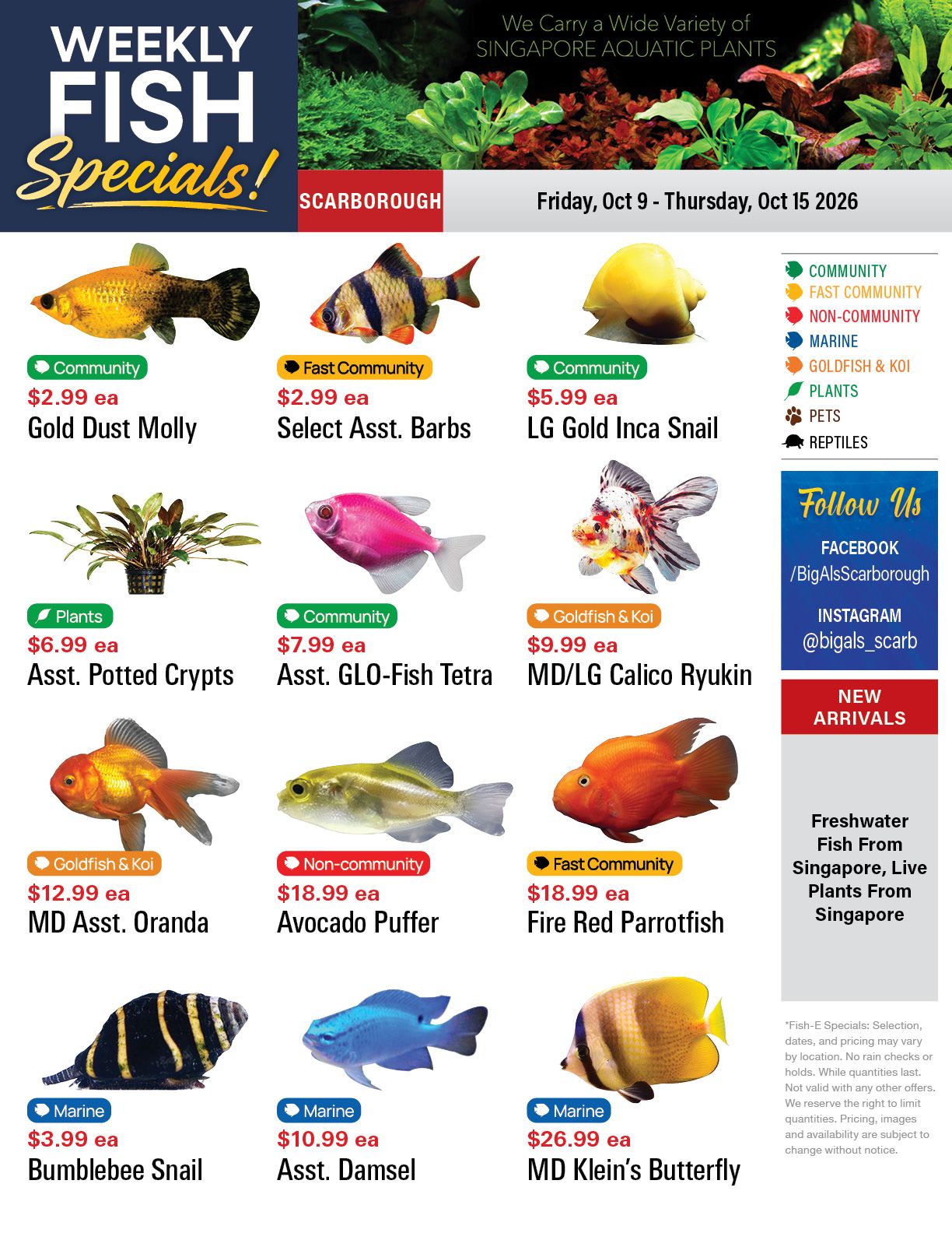Big Al's (Scarborough) Weekly Specials October 9 to 15