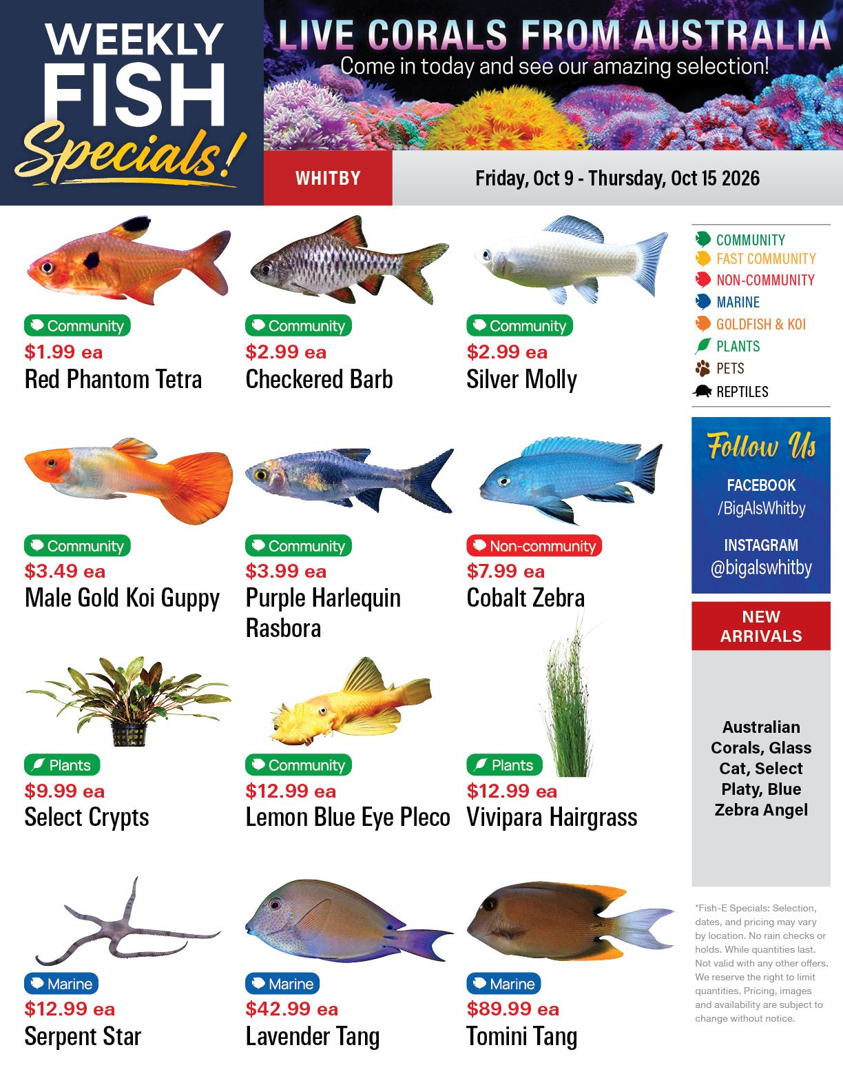 Big Al's (Whitby) Weekly Specials October 9 to 15