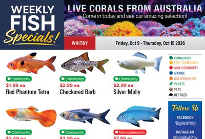 Big Al's (Whitby) Weekly Specials October 9 to 15