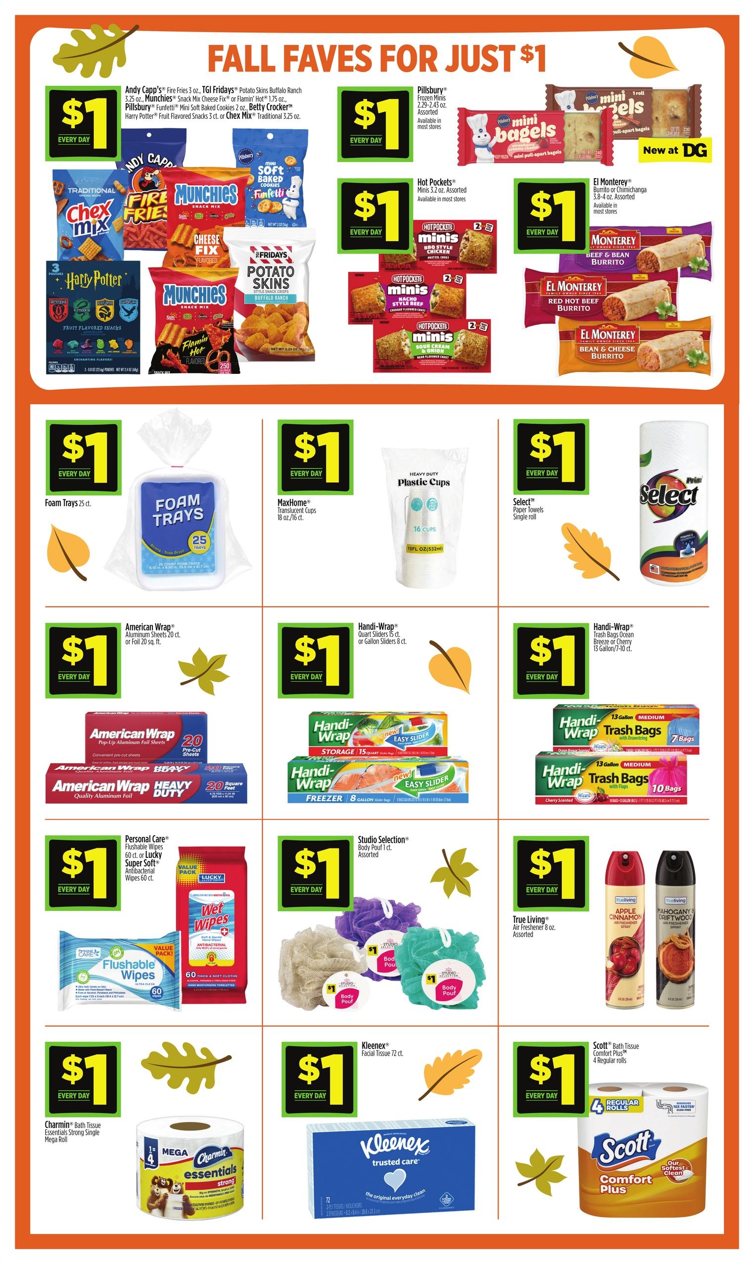 Dollar General (Richburg Area, SC) Weekly Ad October 11 - 17, 2026