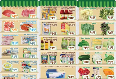 Nations Fresh Foods (Mississauga) Flyer July 17 to 23