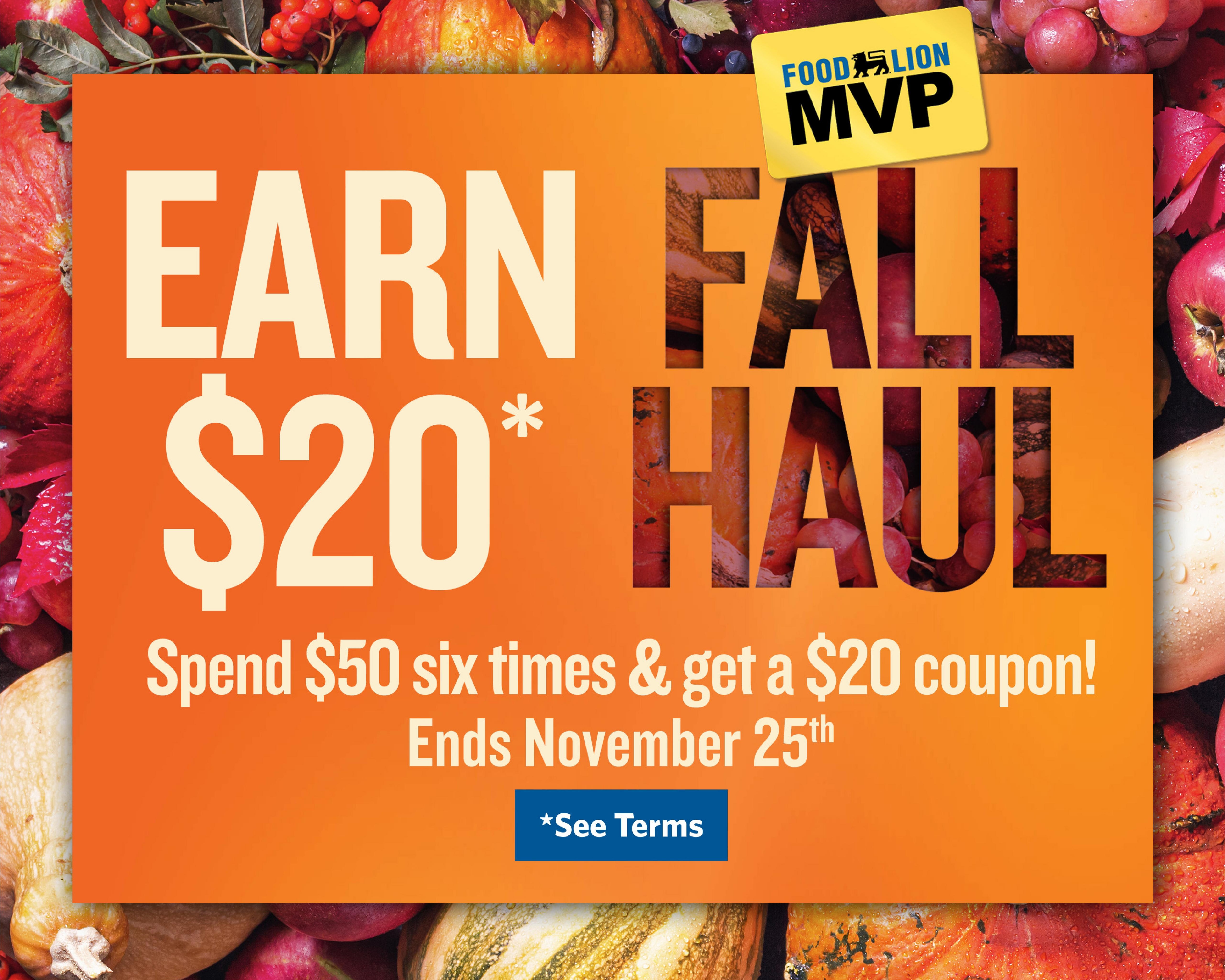 Food Lion (Salisbury Area, MD) Weekly Ad October 14 - 20, 2026