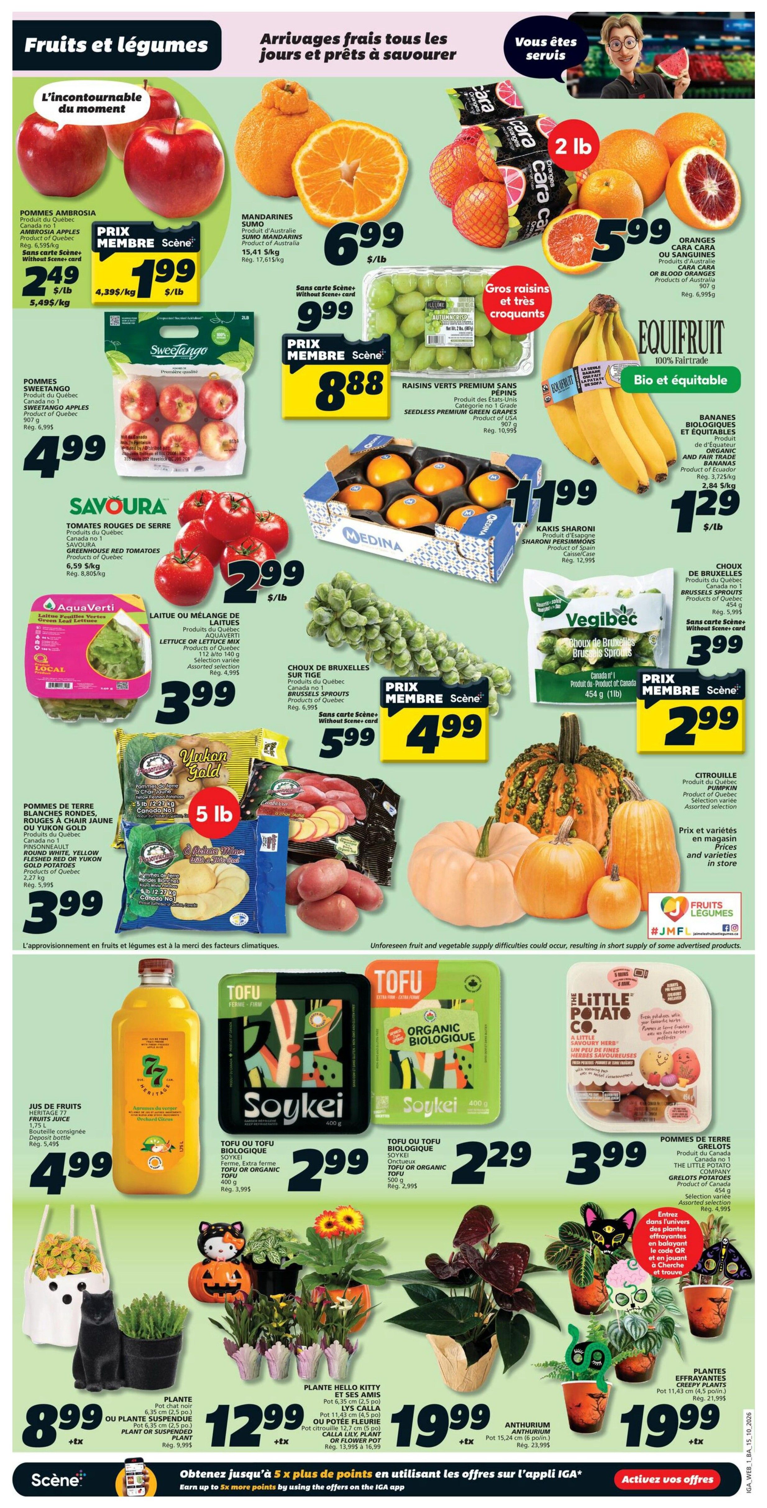 IGA (NB) Flyer October 15 to 21