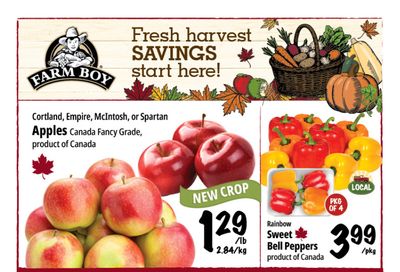 Farm Boy Flyer October 15 to 21