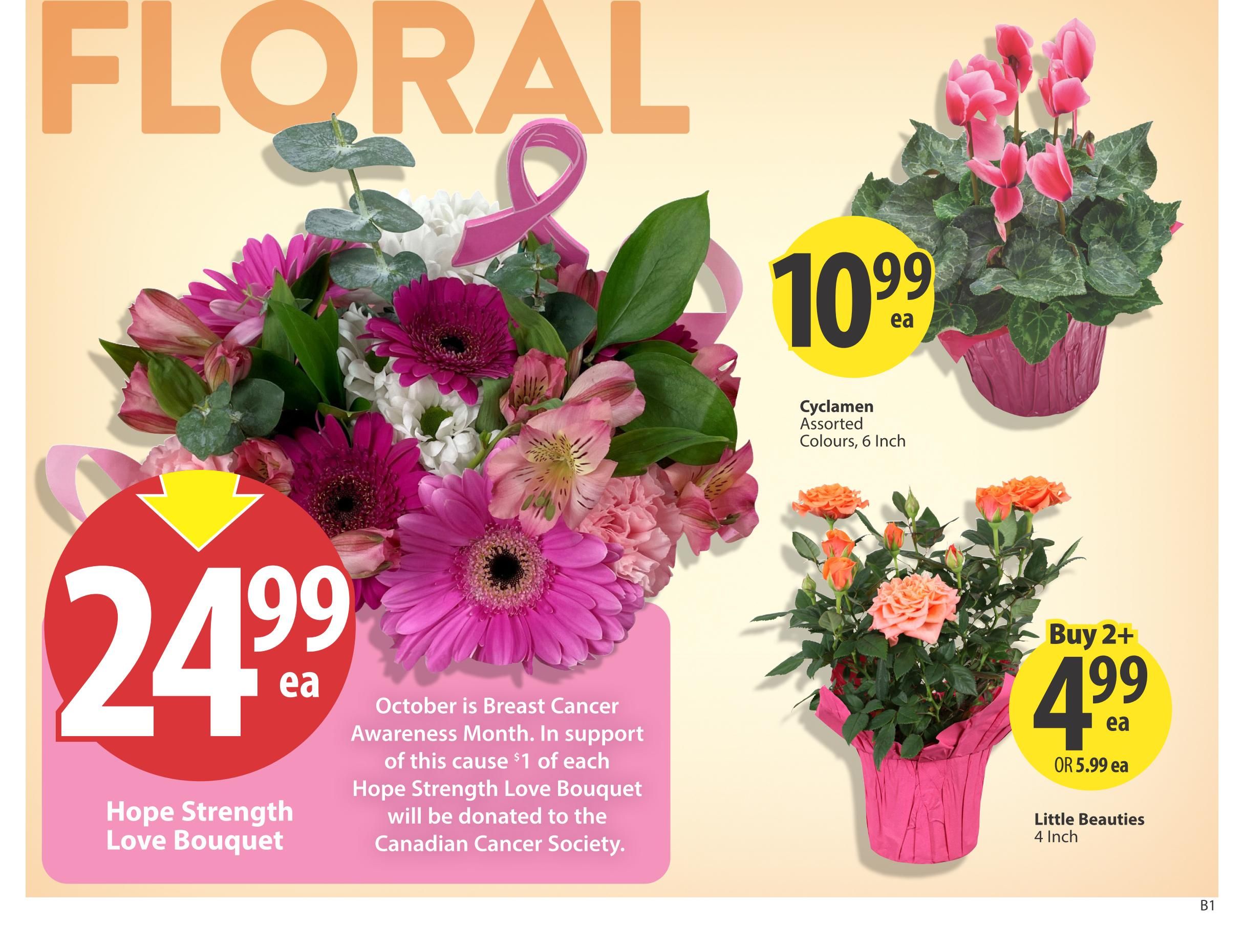 Save On Foods (AB) Flyer October 15 to 21
