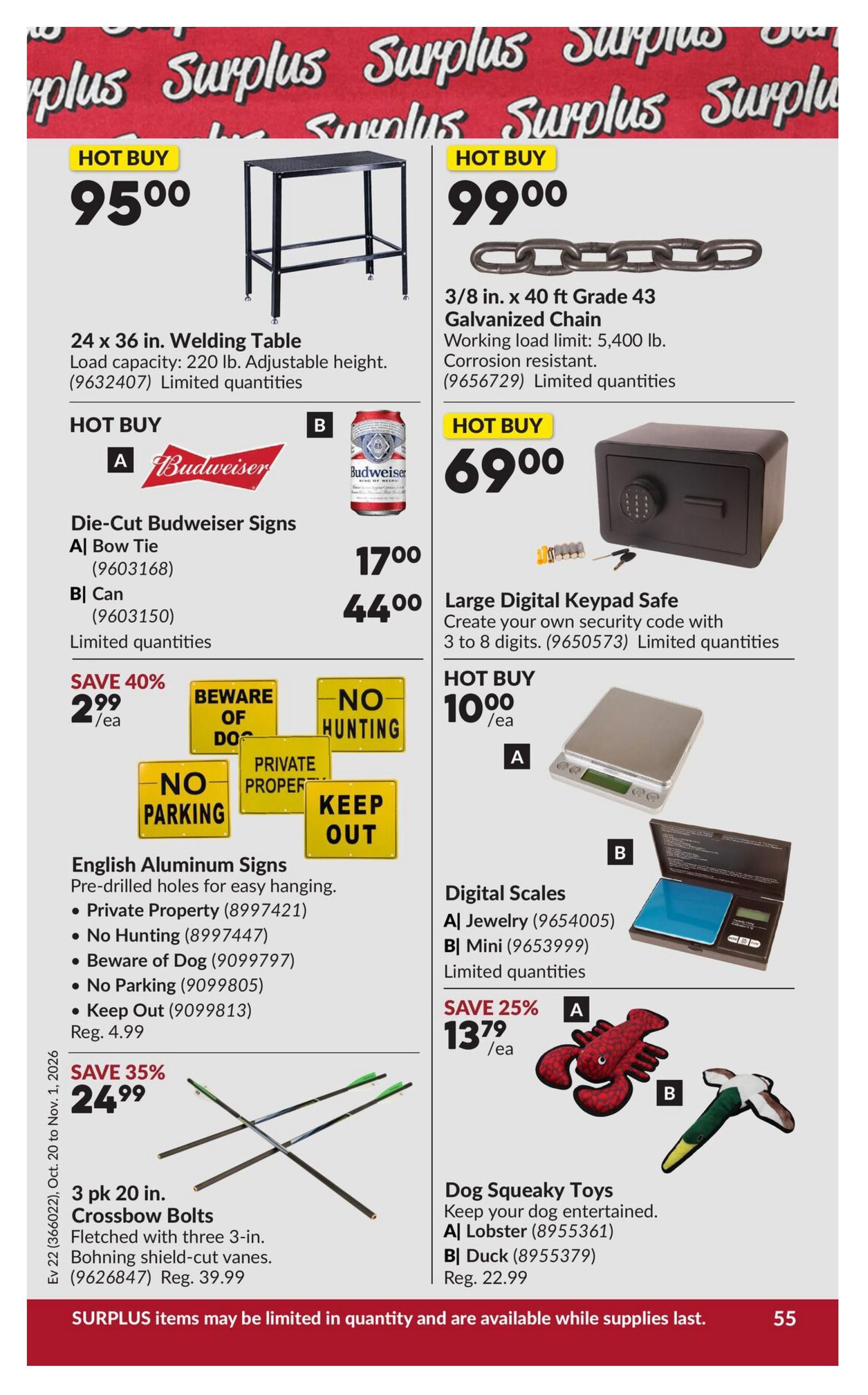 Princess Auto Flyer October 20 to November 1
